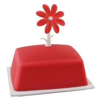 Maselniczka Livio kwiat czerwona