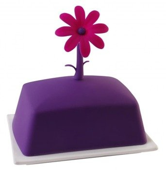 Maselniczka Livio kwiat fioletowa